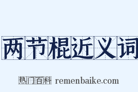 两节棍近义词是什么意思的图片